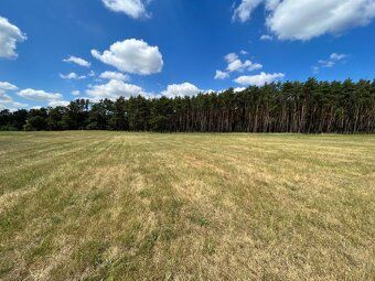 Ponúkame na predaj pozemok o výmere 4223 m2 v  extraviláne o