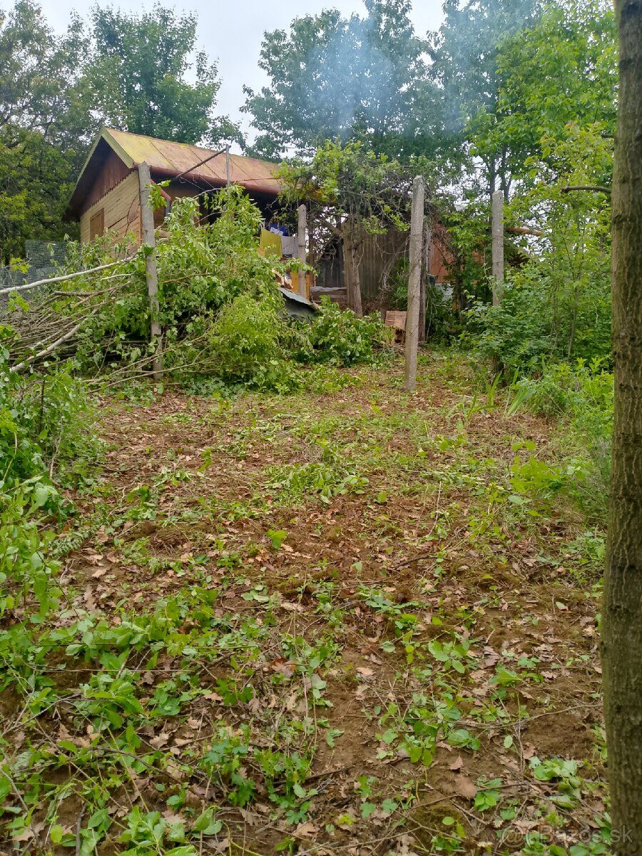 Odstupom záhradku s chatkou v záhradkárskej oblasti nad Kopl