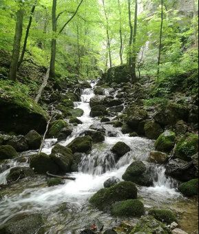 Vo výhradnom zastúpení Vám predstavujeme na predaj dva VÝNIM