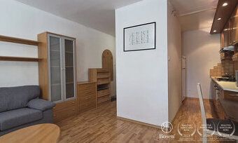 hladam 1.izbovy byt v trnave pripadne blizkom okoli surne od