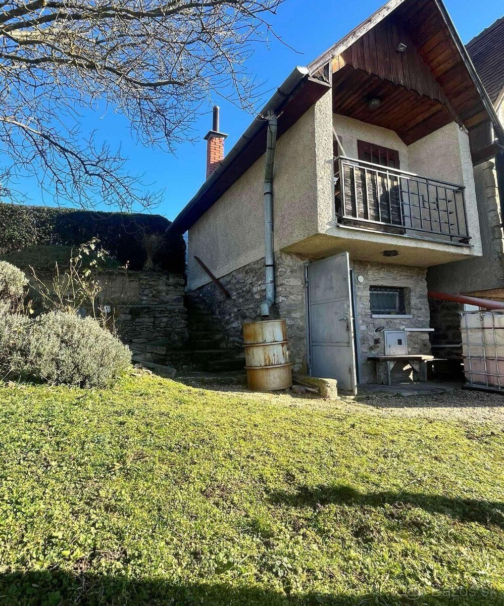 Ponúkam na predaj krásny, udržiavaný a plne rodiaci vinohrad