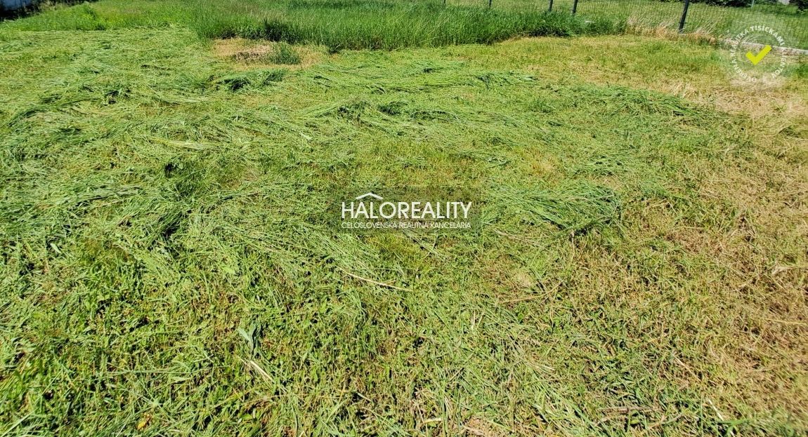 Realitná kancelária HALO reality a Tatjana Čapanda, kontakt: