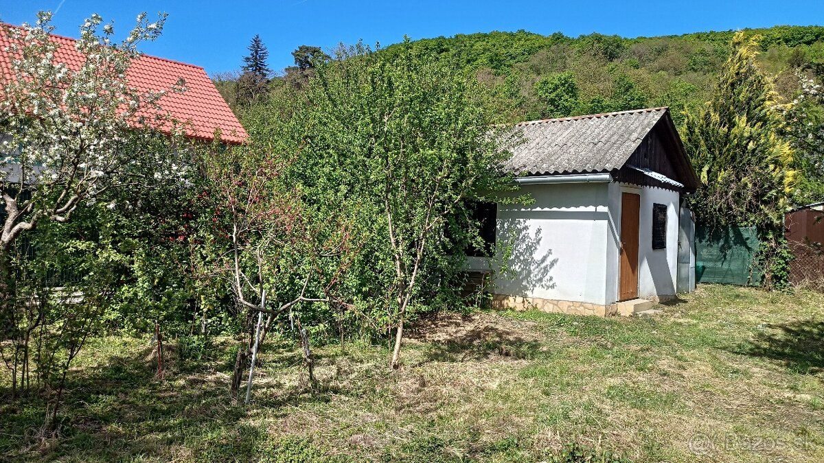Predám záhradu s rozlohou 533 m2, na ktorej sa nachádza muro