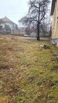 Predám záhradu s rozlohou 533 m2, na ktorej sa nachádza muro