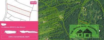 Parcela registra C Trvalý trávny porast 1447 m2