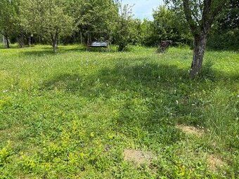 Ponúkam na prenájom slnečnú a tichú záhradu ideálnu na relax