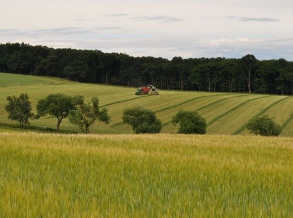 Ste vlastníkom ornej pôdy, trvalé trávnaté porasty, lúky ale