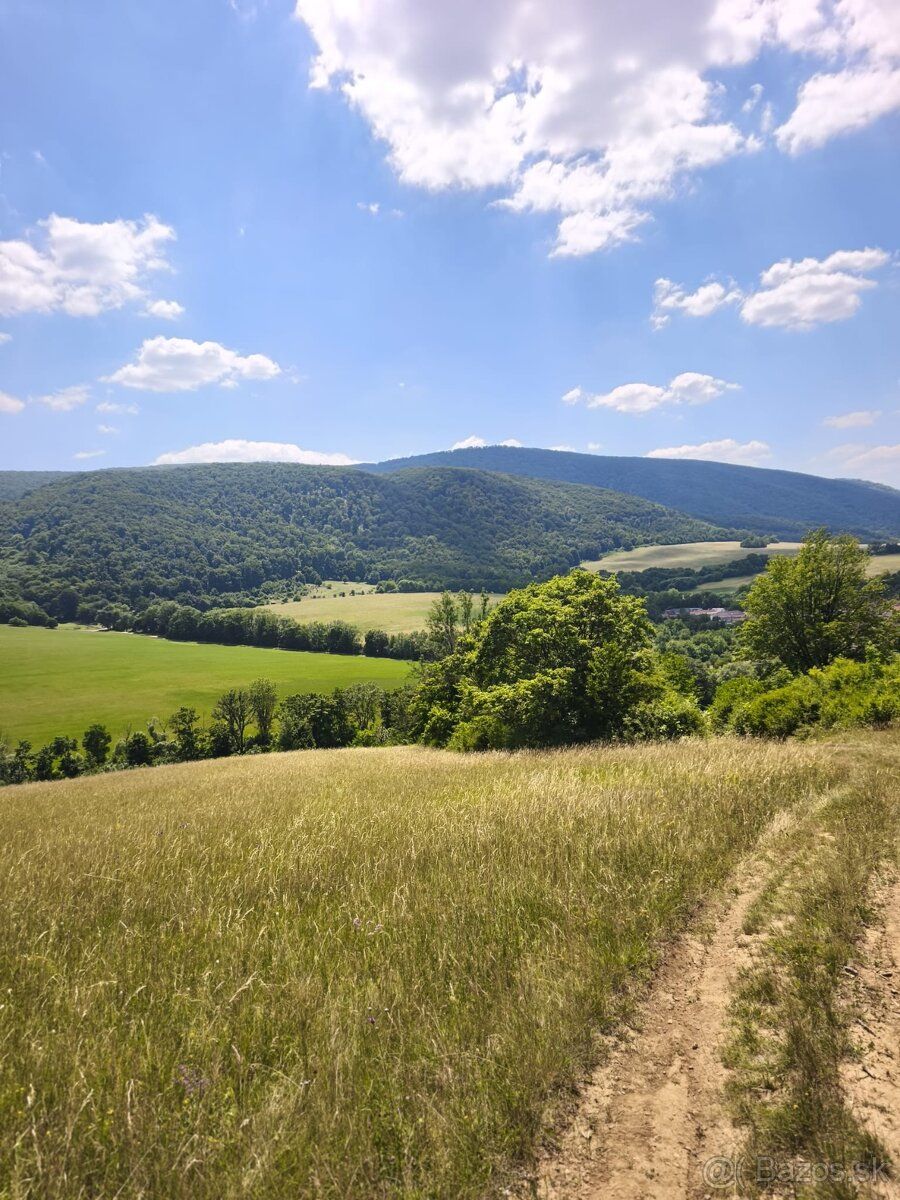 Ponúkam na predaj dva pozemky registra E, parc. č. 484 a 492