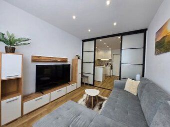Ponúkam na prenájom väčší 1-izb. s rozlohou 42 m2 v Košiciac