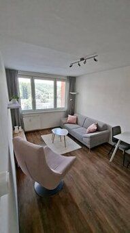 Ponúkam na prenájom väčší 1-izb. s rozlohou 42 m2 v Košiciac
