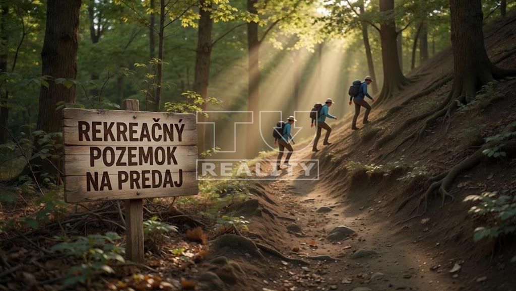 TUreality ponúka na predaj rozsiahly rekreačný lesnatý pozem