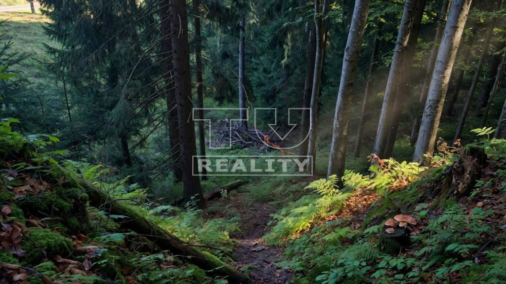 TUreality ponúka na predaj rozsiahly rekreačný lesnatý pozem
