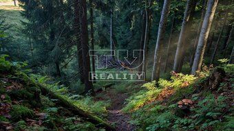 TUreality ponúka na predaj rozsiahly rekreačný lesnatý pozem