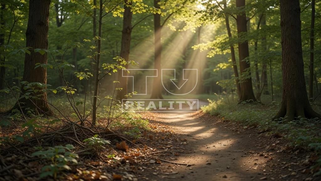 TUreality ponúka na predaj rozsiahly rekreačný lesnatý pozem