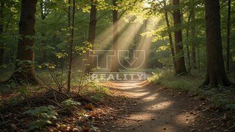 TUreality ponúka na predaj rozsiahly rekreačný lesnatý pozem