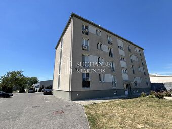 SUCHÁNEK & PARTNERS Vám ponúka na prenájom svetlú Garsónku n