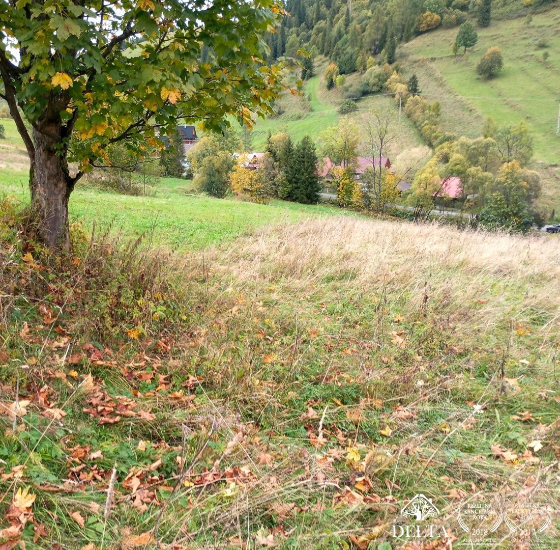 DELTAPROPERTY ponúka na predaj pozemok v obci Osturňa. - roz