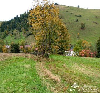 DELTAPROPERTY ponúka na predaj pozemok v obci Osturňa. - roz