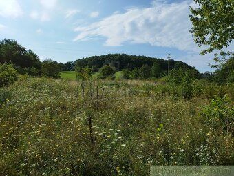 Na predaj vyše 4,5 Ha pozemok v celku (trvalý trávny porast,