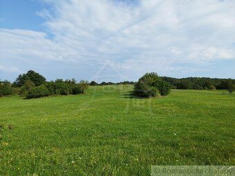 Na predaj vyše 4,5 Ha pozemok v celku (trvalý trávny porast,