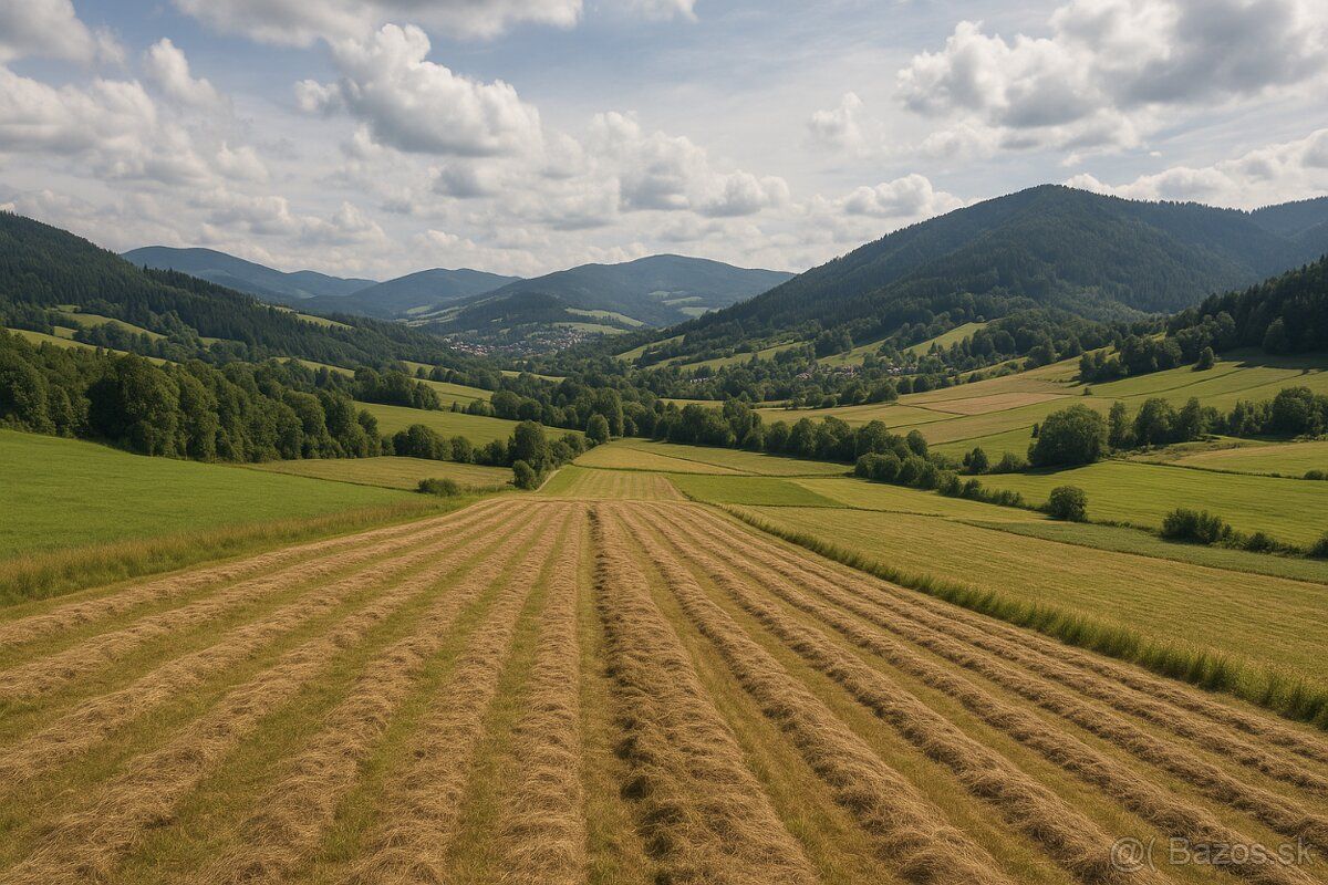 Staškov • Raková • Oščadnica (okres Čadca) Spolu: 9 494 m² C