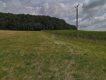 Hľadáte výnimočné miesto pre svoj domov v tichej slepej ulič