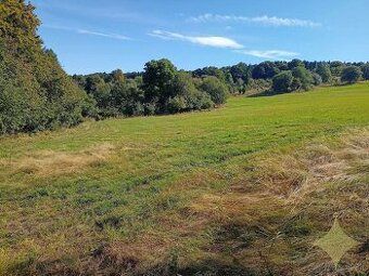 Ponúkame na predaj slnečný pozemok s výmerou 2480 m2 v obci 