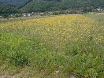 ZNIZENA CENA z 32000 eur na 29000 eur Predám pozemok s malou