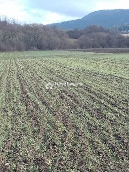 Typ: Rekreačné pozemky Ulica: bočná Obec: Ďurčiná
(N013-14-K