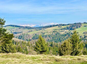 STAVEBNÝ Vysokohorský Pozemok LOM Nad RIMAVICOU 110 000m2 zo
