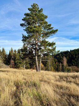 STAVEBNÝ Vysokohorský Pozemok LOM Nad RIMAVICOU 110 000m2 zo