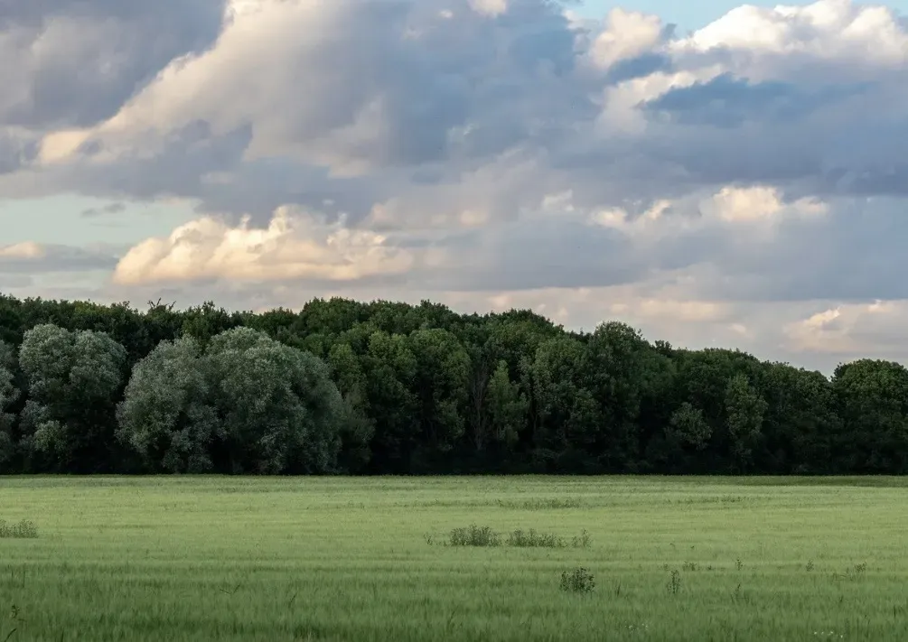 Spoločnosť Slovak Estate s.r.o. ponúka na predaj spoluvlastn