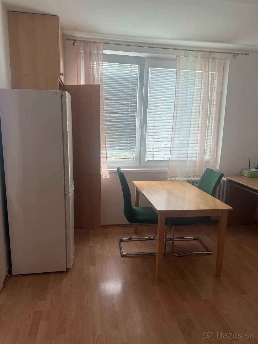 Ponúkam na prenájom priestranný a kompletne zariadený 1-izbo