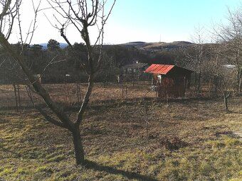 Poproś o telefon 0917670325. Zgodnie z zezwoleniem