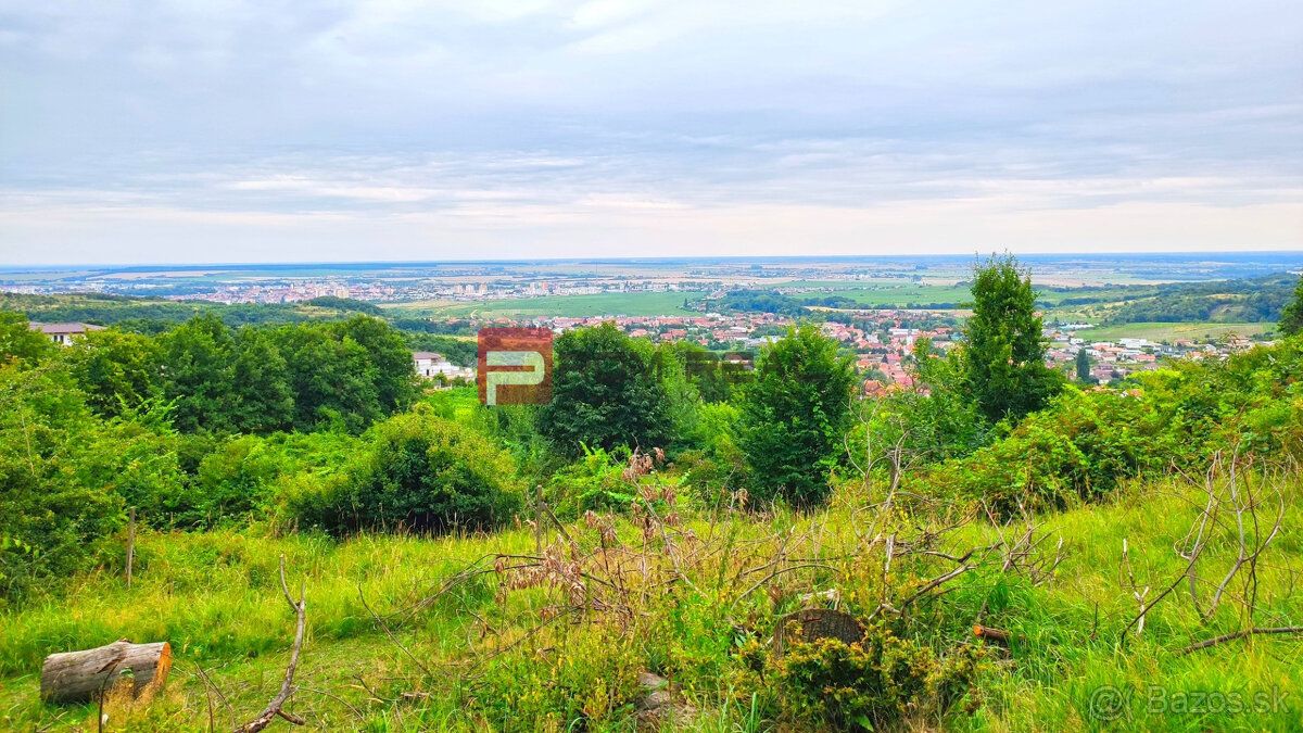 Typ: Działka rekreacyjna Gmina: Limbach Do sprzedaży - duża