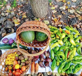 Продається односімейний будинок з садом в селі Інанц