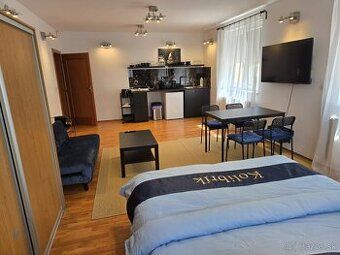Apartmán je prostorný, světlý a příjemně prosvětlený byt