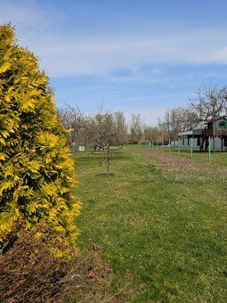 Продам старий одноповерховий житловий будинок з частково
