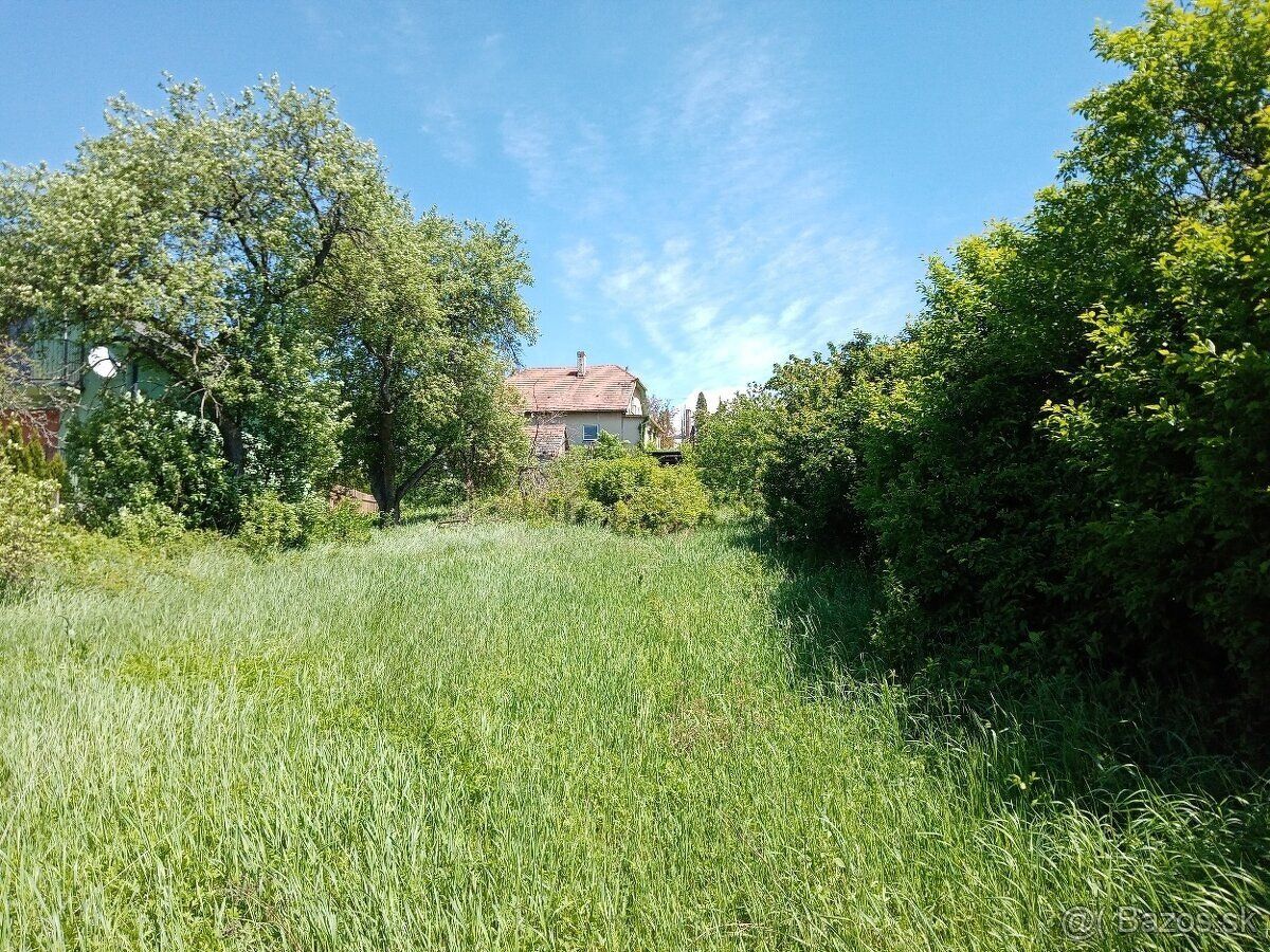 Oferujemy na sprzedaż słoneczną, lekko nachyloną działkę w