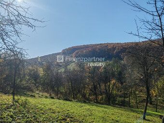 F051 - 14- PAMO Nabízíme k prodeji rozlehlý pozemek v