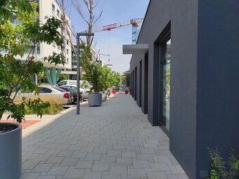 Wynajmiemy przestrzeń o powierzchni 240m2, wysokości 3,40m