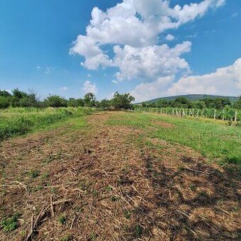 Prodám ornou půdu o ploše 11 022 m2 v katastru obce Rybník