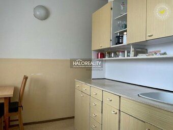 Агентство нерухомості HALO reality та Марцела Базалова
