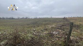 На продаж інвестиційний земельну ділянку в селі Тур'