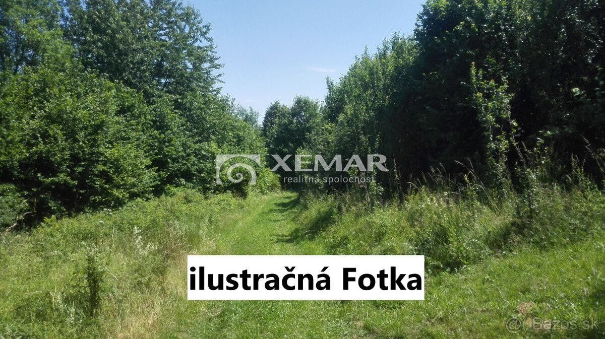 XEMAR ( alebo 0915 142 544 ) exkluzívne ponúka na predaj rov