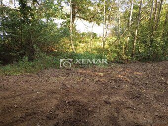 XEMAR ( alebo 0908193188 ) ponúka na predaj pozemok 7452m2 v