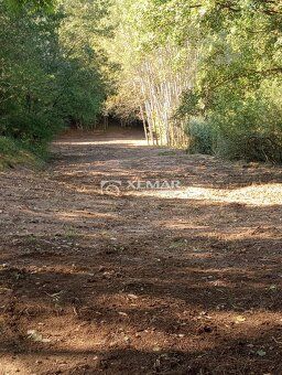 XEMAR ( alebo 0908193188 ) ponúka na predaj pozemok 7452m2 v