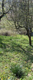 XEMAR ( lub 0948, 189 375) oferuje na sprzedaż ogród w