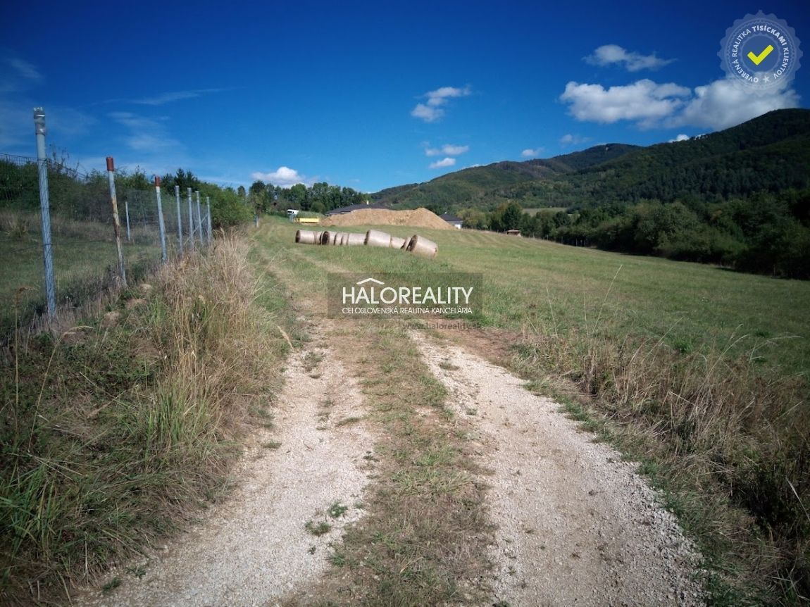 Realitní kancelář HALO reality a Martin Petriska, kontakt