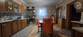 Agencja nieruchomości HALO Reality i Rudolf Danics